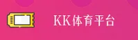使用指南与常见问题